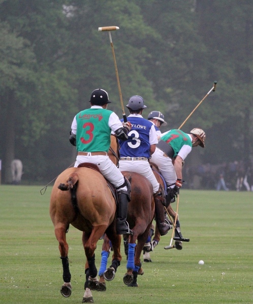 Polo_Art   045.jpg